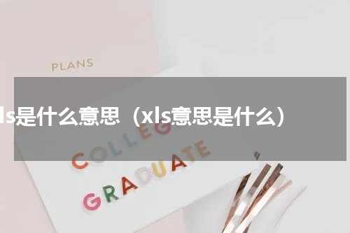 xls是什么意思（xls意思是什么）