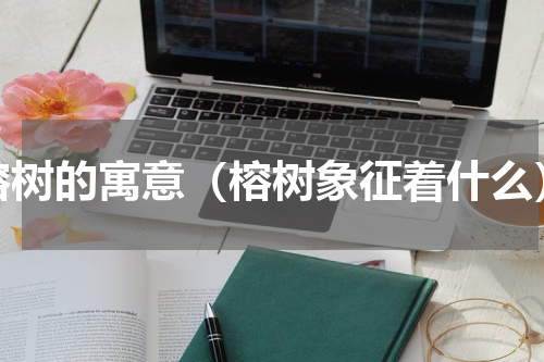 榕树的寓意（榕树象征着什么）