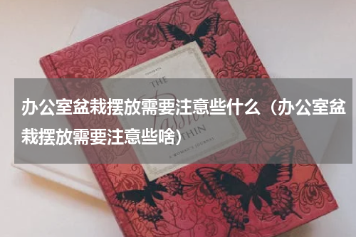 办公室盆栽摆放需要注意些什么（办公室盆栽摆放需要注意些啥）