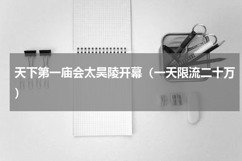天下第一庙会太昊陵开幕（一天限流二十万）