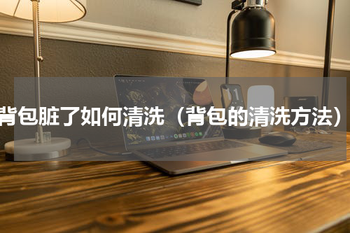背包脏了如何清洗（背包的清洗方法）