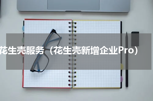 花生壳服务（花生壳新增企业Pro）