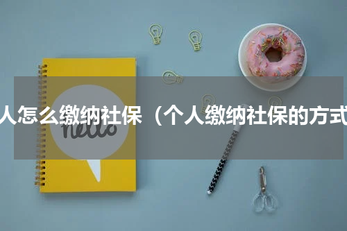 个人怎么缴纳社保（个人缴纳社保的方式）