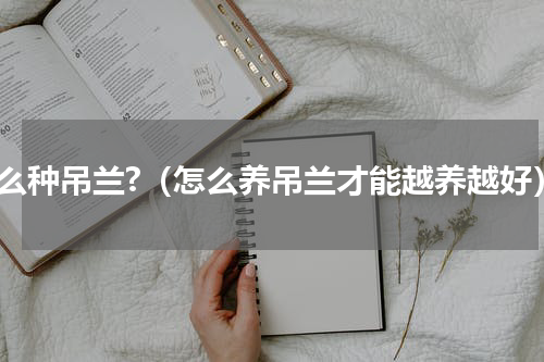 怎么种吊兰?（怎么养吊兰才能越养越好）