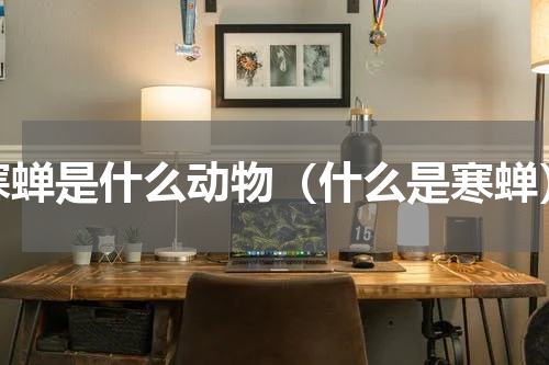 寒蝉是什么动物（什么是寒蝉）