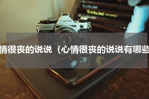 心情很丧的说说（心情很丧的说说有哪些）