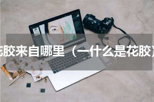 花胶来自哪里（一什么是花胶）