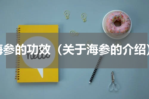 海参的功效（关于海参的介绍）