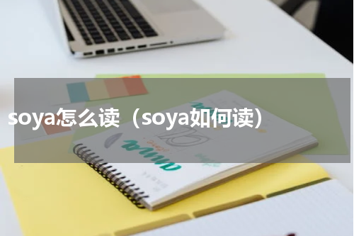soya怎么读（soya如何读）