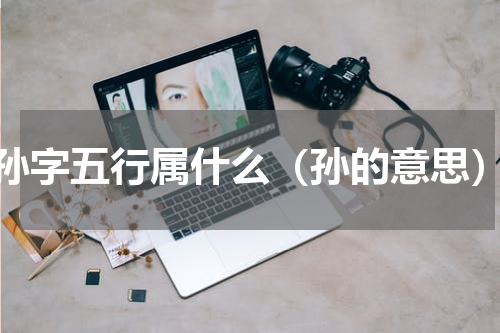 孙字五行属什么（孙的意思）