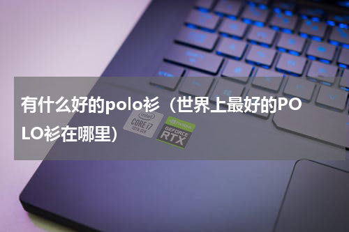 有什么好的polo衫（世界上最好的POLO衫在哪里）