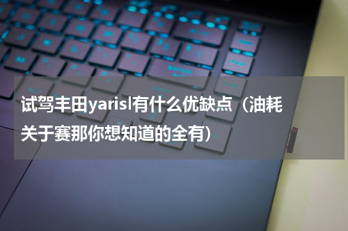 试驾丰田yarisl有什么优缺点（油耗关于赛那你想知道的全有）