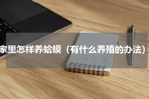 家里怎样养蛤蟆（有什么养殖的办法）