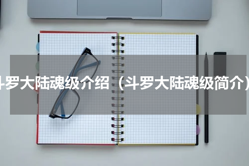 斗罗大陆魂级介绍（斗罗大陆魂级简介）