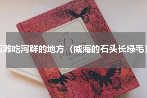 石滩吃河鲜的地方（威海的石头长绿毛）