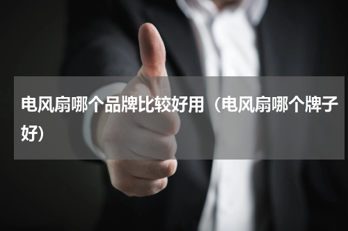 电风扇哪个品牌比较好用（电风扇哪个牌子好）
