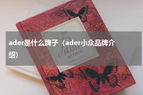 ader是什么牌子（ader小众品牌介绍）