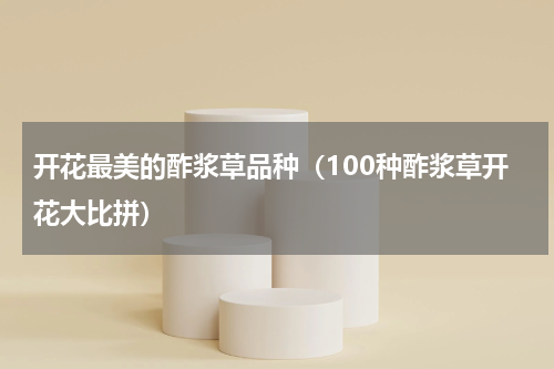 开花最美的酢浆草品种（100种酢浆草开花大比拼）