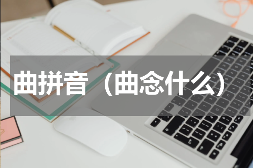 曲拼音（曲念什么）