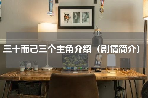 三十而己三个主角介绍（剧情简介）