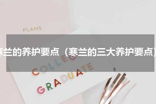寒兰的养护要点（寒兰的三大养护要点）