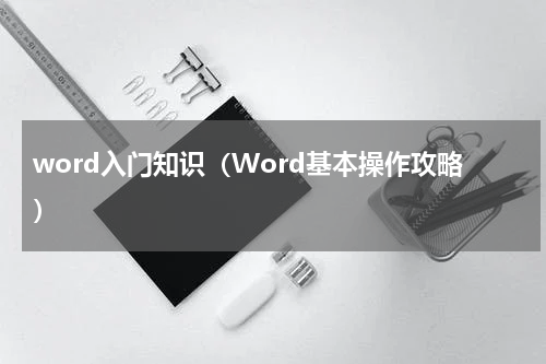 word入门知识（Word基本操作攻略）