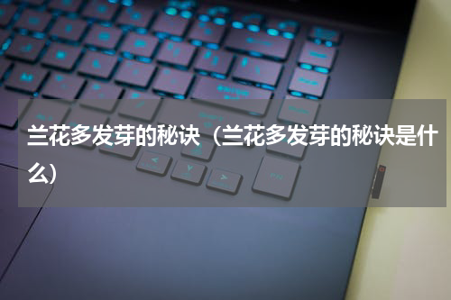 兰花多发芽的秘诀（兰花多发芽的秘诀是什么）