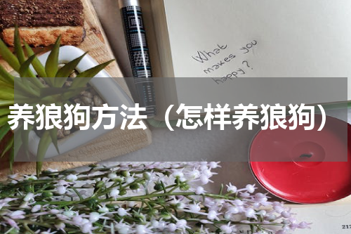 养狼狗方法（怎样养狼狗）