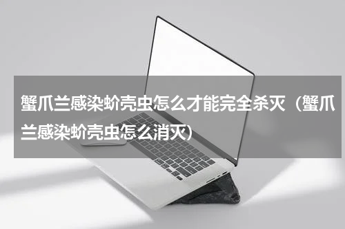 蟹爪兰感染蚧壳虫怎么才能完全杀灭（蟹爪兰感染蚧壳虫怎么消灭）