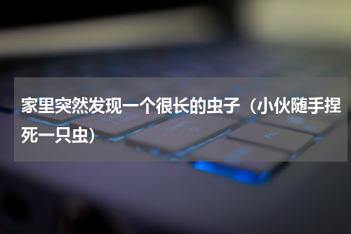 家里突然发现一个很长的虫子（小伙随手捏死一只虫）