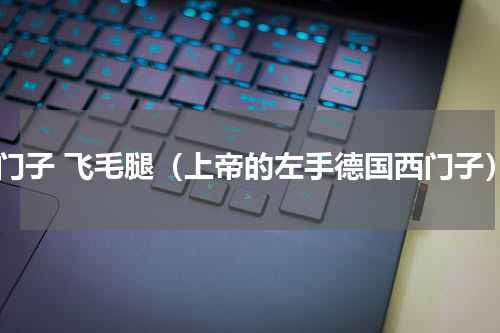 西门子 飞毛腿（上帝的左手德国西门子）