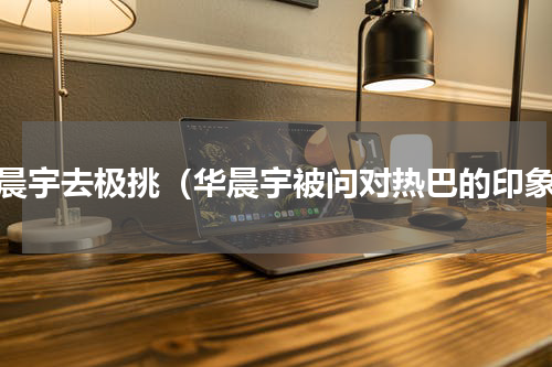 华晨宇去极挑（华晨宇被问对热巴的印象）