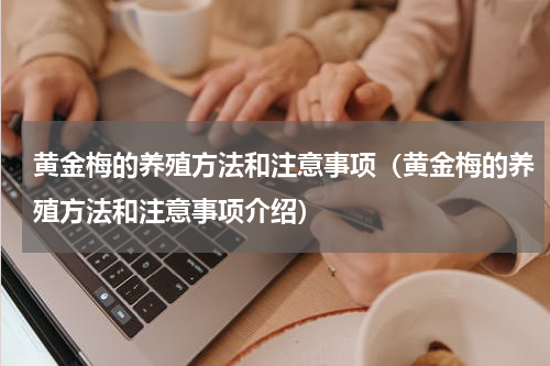 黄金梅的养殖方法和注意事项（黄金梅的养殖方法和注意事项介绍）