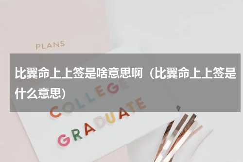 比翼命上上签是啥意思啊（比翼命上上签是什么意思）