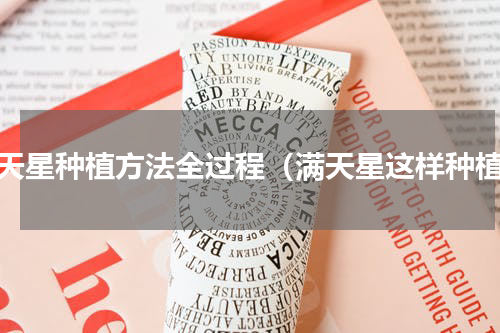 满天星种植方法全过程（满天星这样种植）