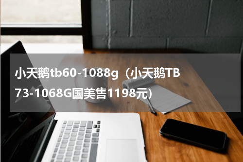 小天鹅tb60-1088g（小天鹅TB73-1068G国美售1198元）