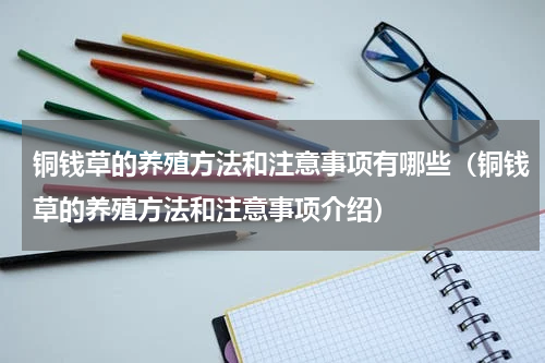 铜钱草的养殖方法和注意事项有哪些（铜钱草的养殖方法和注意事项介绍）