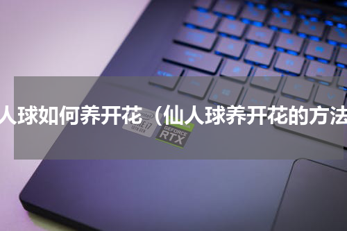 仙人球如何养开花（仙人球养开花的方法）
