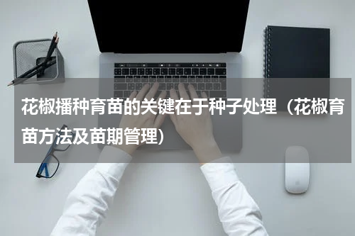 花椒播种育苗的关键在于种子处理（花椒育苗方法及苗期管理）