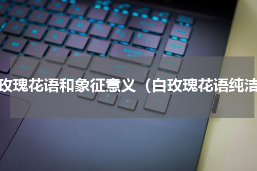 白玫瑰花语和象征意义（白玫瑰花语纯洁）