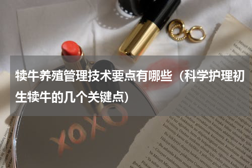犊牛养殖管理技术要点有哪些（科学护理初生犊牛的几个关键点）