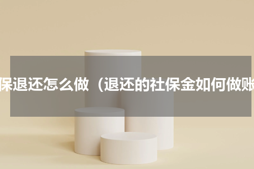 社保退还怎么做（退还的社保金如何做账）