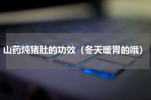 山药炖猪肚的功效（冬天暖胃的哦）