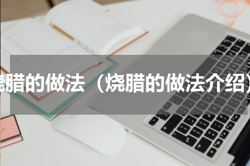 烧腊的做法（烧腊的做法介绍）