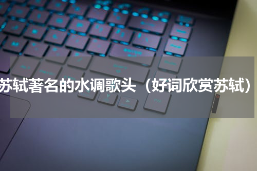 苏轼著名的水调歌头（好词欣赏苏轼）