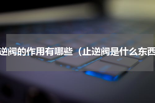 止逆阀的作用有哪些（止逆阀是什么东西）