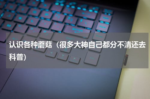 认识各种蘑菇（很多大神自己都分不清还去科普）