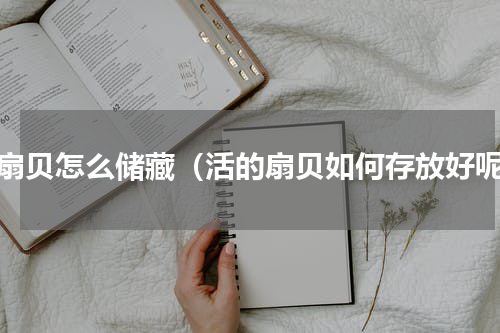 活扇贝怎么储藏（活的扇贝如何存放好呢）