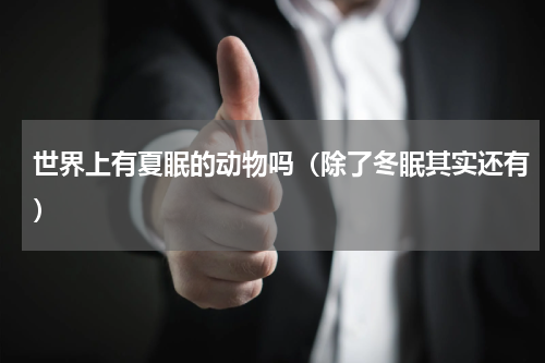 世界上有夏眠的动物吗（除了冬眠其实还有）