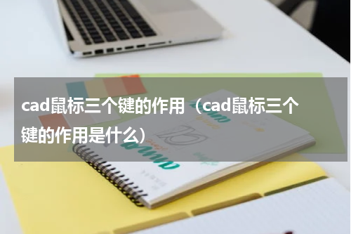 cad鼠标三个键的作用（cad鼠标三个键的作用是什么）